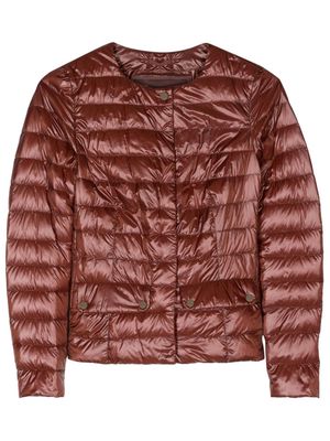 Herno collarless padded jacket - Brown