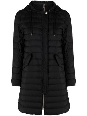 Herno feather-down hooded coat - Black