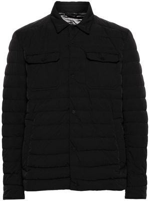 Herno quilted padded shirt jacket - Black