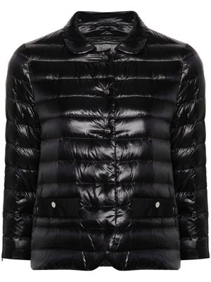Herno rounded-collar padded jacket - Black