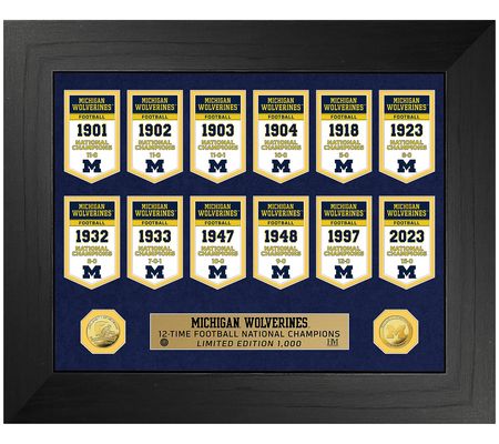 Highland Mint Michigan Champs Banner Collection Deluxe Coin