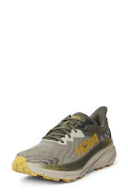 HOKA Challenger 7 Running Shoe in Olive Haze /Forest Cover