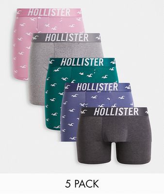 Hollister 5-pack all-over icon logo trunks in blue/gray/pink/charcoal/green-Multi