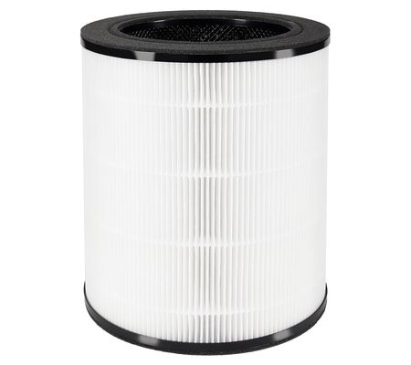 Homedics Replacement True HEPA Filter for AP-T1 0-GY