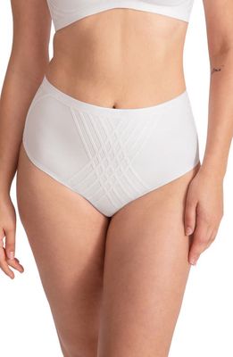 Honeylove Silhouette Shaping Briefs in Astral