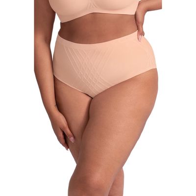 Honeylove Silhouette Shaping Briefs in Rose Tan