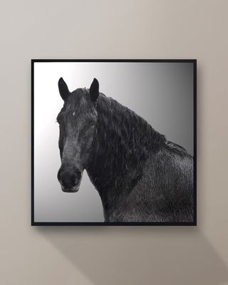 "Horse Riggs A Farm5" Giclee by Chris Dunker