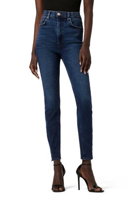 Hudson Jeans Centerfold High Waist Skinny Jeans in Mariana