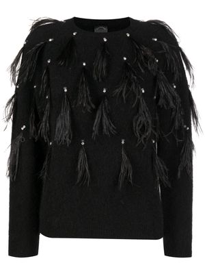 Huishan Zhang feather-detailing crystal-embellished jumper - Black