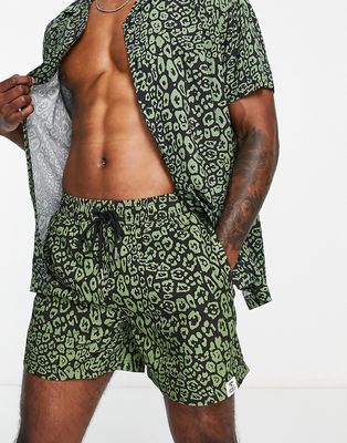 Hunky Trunks swim shorts in khaki animal print-Green