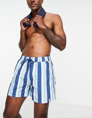 Hunky Trunks swim shorts in tonal blue stripe