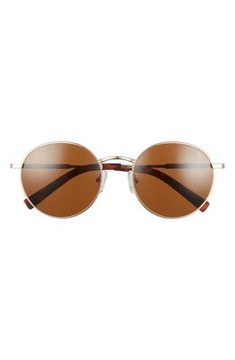 Hurley Big Timer 53mm Polarized Round Sunglasses in Shiny Gold/brn/Brown Base