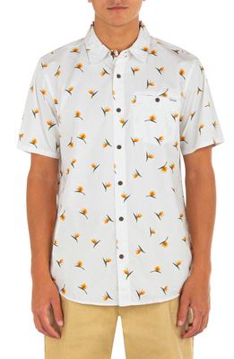 Hurley Windansea Short Sleeve Button-Up Shirt in White 2 