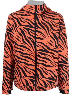 Hydrogen tiger-print hooded jacket - Black