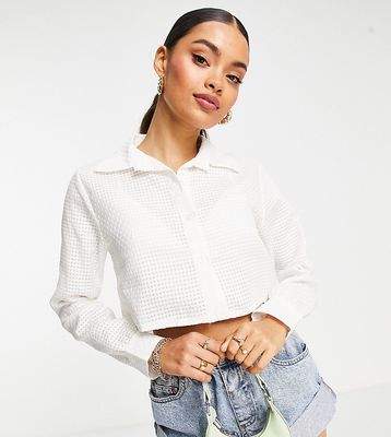 I Saw It First Petite cropped textured shirt in white-Green