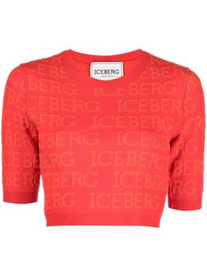 Iceberg jacquard knit crop top - Red