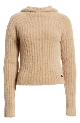 Iets Frans Eyelash Rib Hooded Long Sleeve Sweater in Mink