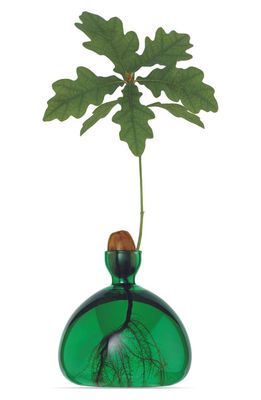 ILEX STUDIO Acorn Vase in Emerald Green