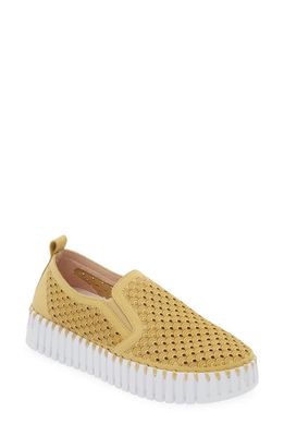 Ilse Jacobsen Tulip Slip-On Sneaker in Citronella 