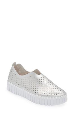 Ilse Jacobsen Tulip Sneaker in Silver