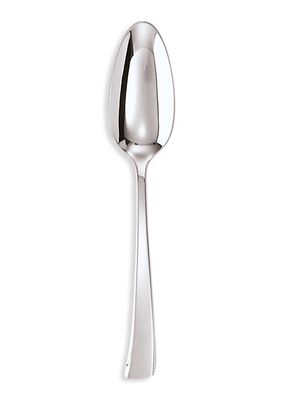 Imagine Stainless Steel Serving Spoon
