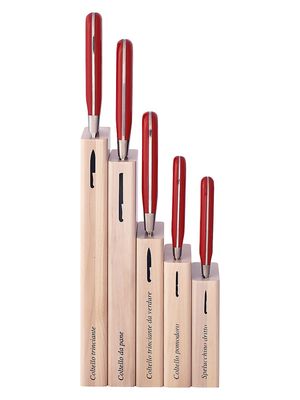 Insieme 5-Piece Knife Set - Red Lucite - Red Lucite
