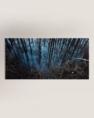 "Into the Woods" Photography Handmade HD Metal & Acrylic Print Art