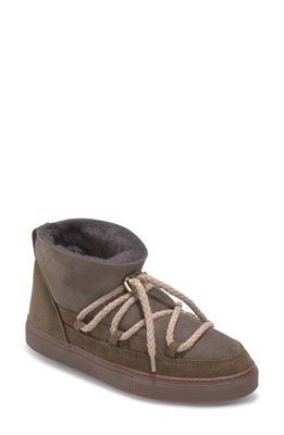 INUIKII Classic Genuine Shearling Lined Low Sneaker in Taupe