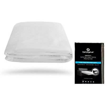iProtect Sofa Mattress Protector by BEDGEAR Twin