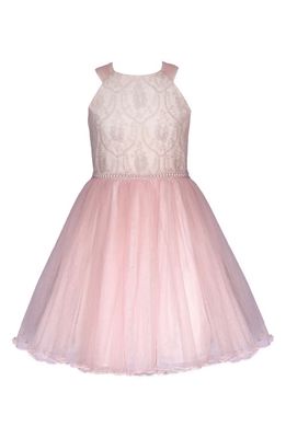 Iris & Ivy Kids' Embroidered Tulle Ballerina Dress in Blush