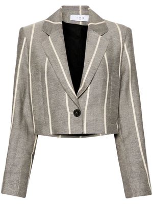 IRO Dupa striped cropped blazer - Neutrals