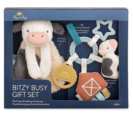 Itzy Ritzy Teether Gift Set