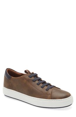 J & M COLLECTION Anson Lace to Toe Sneaker in Brown Full Grain