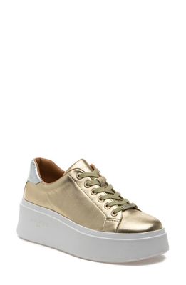 J/SLIDES NYC Hally Platform Sneaker in Gold