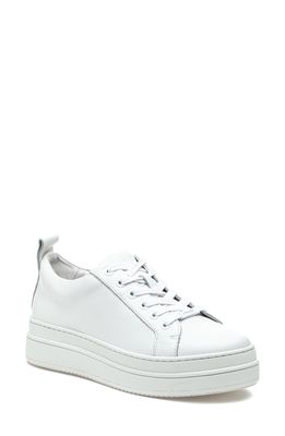 J/SLIDES NYC JSlides Noca Platform Lace-Up Sneaker in White Leather