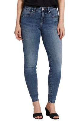 Jag Jeans Cecilia Mid Rise Skinny Jeans in Sky Blue