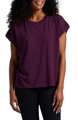 Jag Jeans Luxe Cotton & Modal Blend Tee in Eggplant