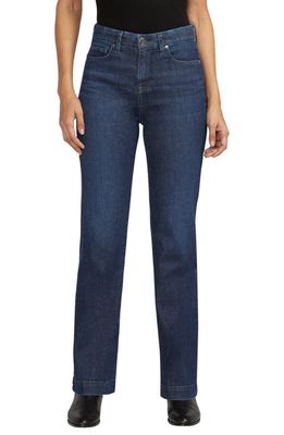 Jag Jeans Phoebe High Waist Bootcut Jeans in Stardust