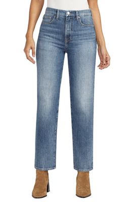 Jag Jeans Rachel High Waist Relaxed Tapered Jeans in Big Chill