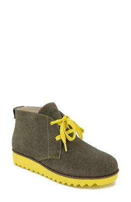Jambu Gianna Water Resistant Lace-Up Bootie in Olive/Pale Yellow