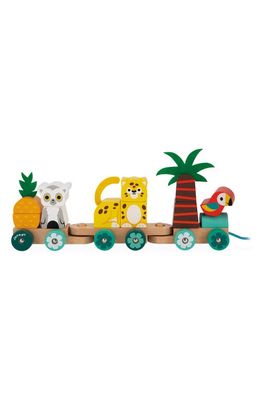 Janod Tropical Train Pull Along Toy in Multi