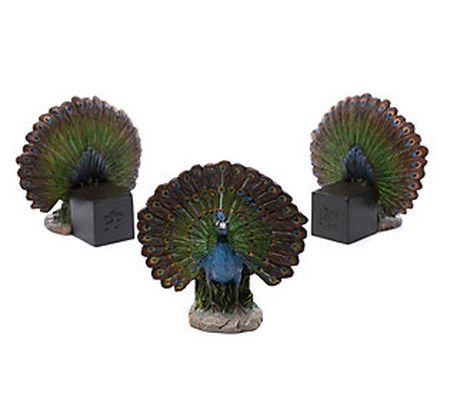 Jardinopia Potty Feet Peacock S/3 Pla nter Feet