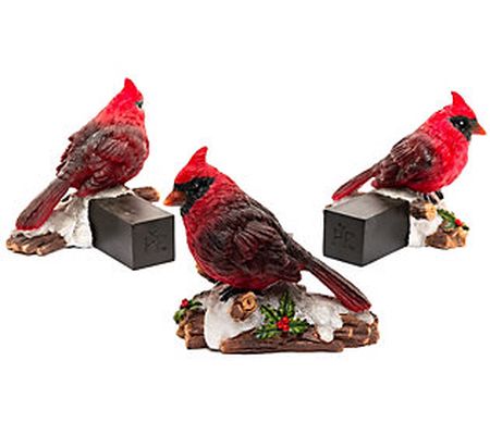 Jardinopia Potty Feet Red Cardinal Bird  S/3 Pl anter Feet