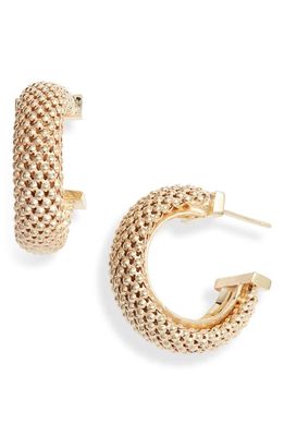 Jennifer Zeuner Lucia Beaded Hoop Earrings in Yellow Gold 