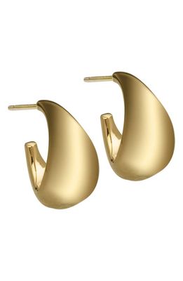 Jennifer Zeuner Shira Hoop Earrings in 14K Yellow Gold Plated Silver