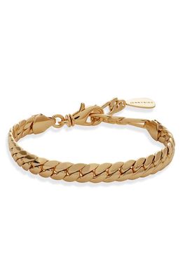 Jenny Bird Biggie Chain Link Bracelet in High Polish Gold
