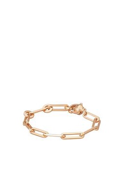 Jenny Bird Chain Link Bracelet in Metallic Gold.