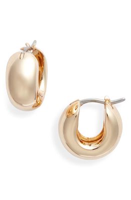 Jenny Bird Chubby Huggie Hoop Earrings in High Polish Gold