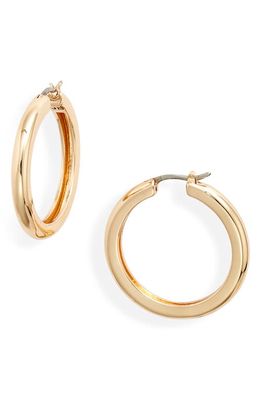 Jenny Bird Strom Hoop Earrings in Gold