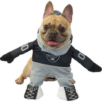 JERRY LEIGH Las Vegas Raiders Running Dog Costume in Black